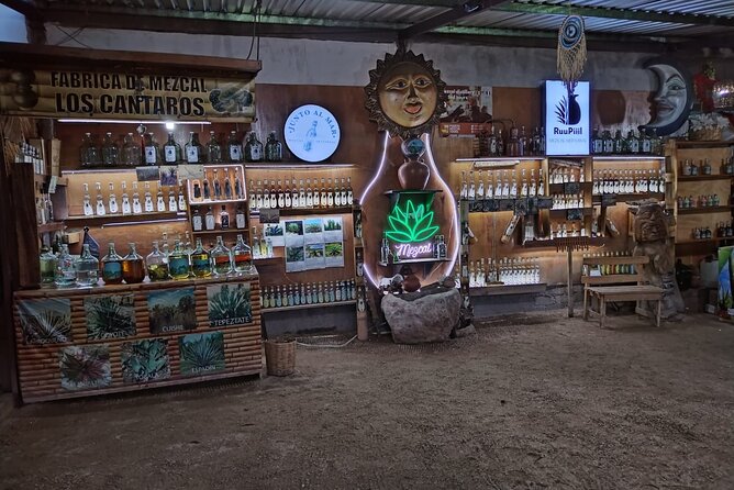 Tour Los Caminos del Mezcal Café and Pedal Loom Factory - Is $53.52 a Fair Price?