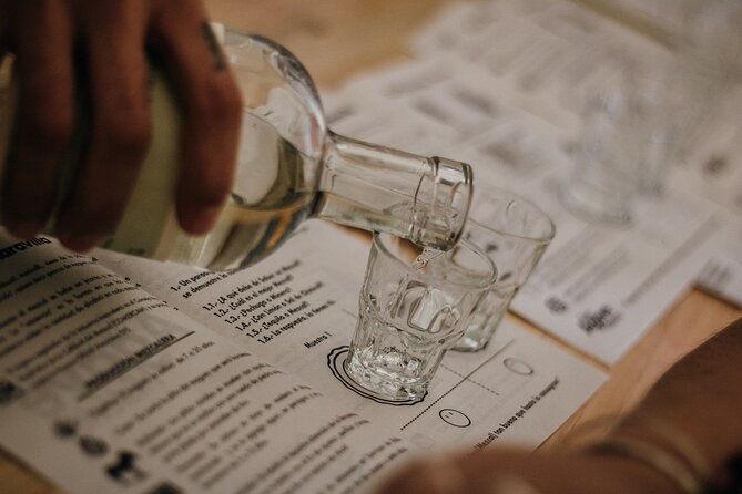 Tour of Mezcalerias in the City - Comparing pours at Mezcalería COZOBI