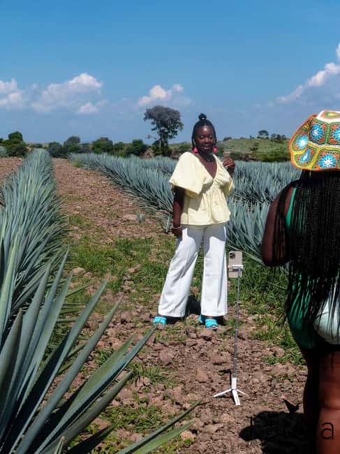 Tour Tequila Loreta Travel&Tour - From Guadalajara to the agave country