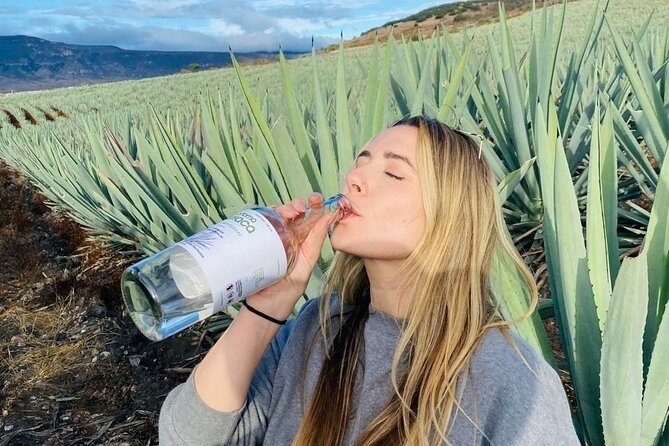 Tradicional Mezcal Experience in Oaxaca-Visit a Family Distillery - Key points to know before booking