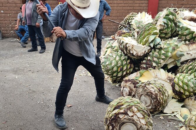 Tradicional Mezcal Experience in Oaxaca-Visit a Family Distillery - What the $100.96 price really buys you