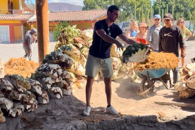 Tradicional Mezcal Experience in Oaxaca-Visit a Family Distillery - Inside a working family palenque