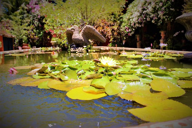 Vallarta Botanical Garden and Tequila Tasting from Puerto Vallarta - Guides can shape the whole day