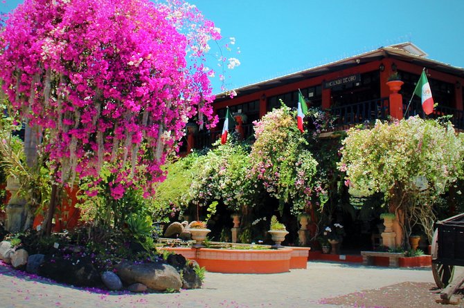 Vallarta Botanical Garden and Tequila Tasting from Puerto Vallarta - Who will enjoy this Puerto Vallarta outing?