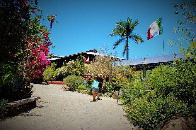 Vallarta Botanical Garden and Tequila Tasting from Puerto Vallarta - Two hours among orchids, palms, and tropical birds