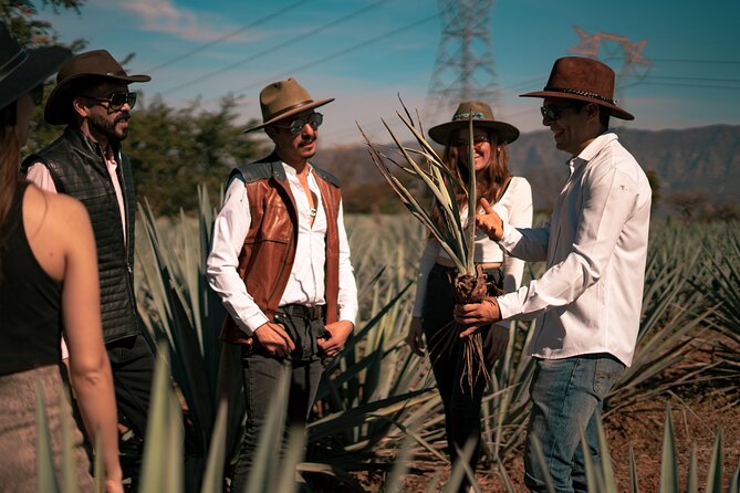 Vip Tequila Experience - Dinner in Tequila, With Food Paid Separately