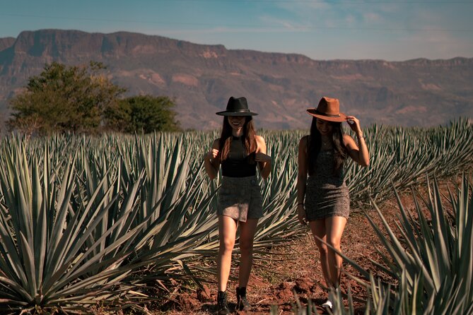 Vip Tequila Experience - Walking Around the Town of Tequila