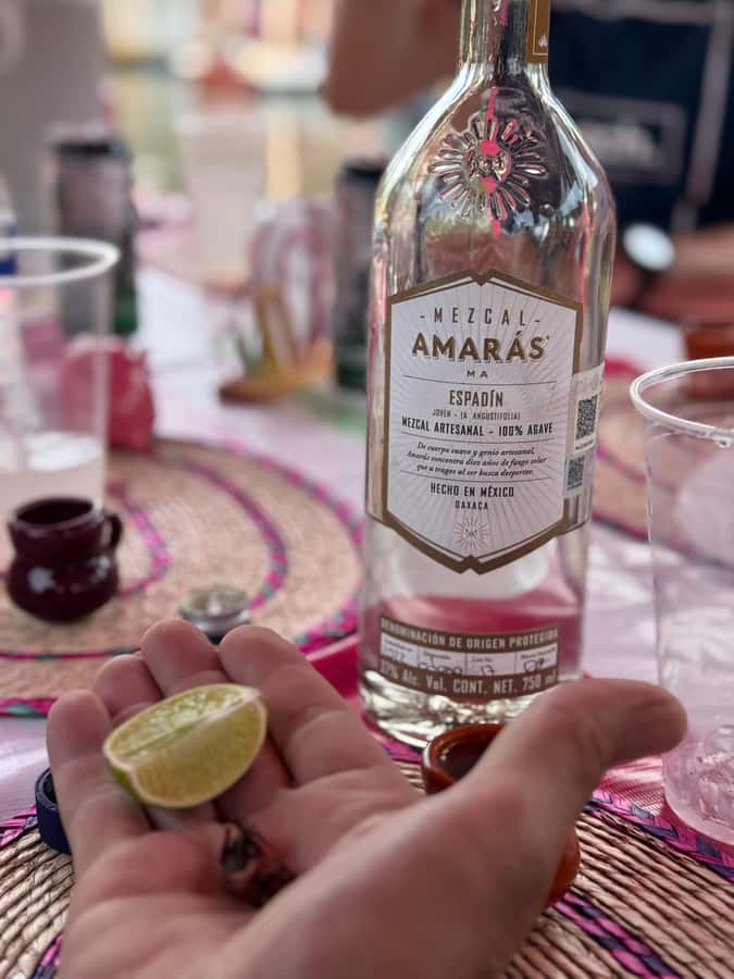 Xochimilco's Wild Side: Mezcal, Insects & Culture - The chinampa stop: photos, a restroom, and a breather