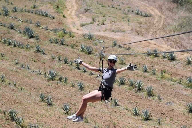 Ziplines and mezcal tasting - Eight ziplines, not just one quick ride