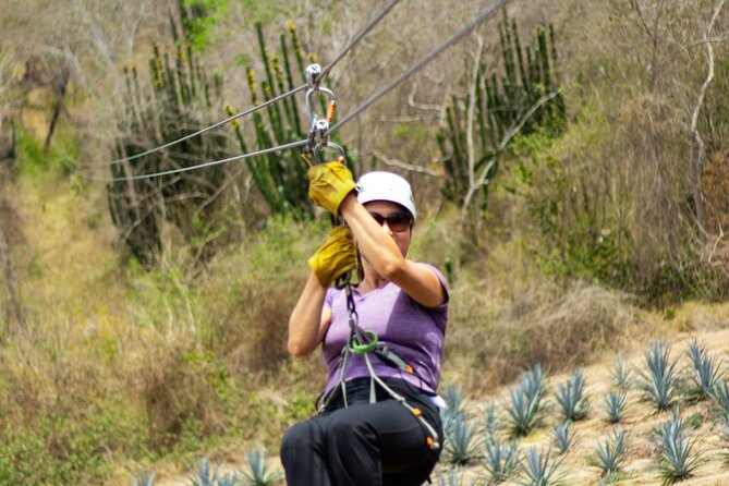 Ziplines and mezcal tasting - Quesadillas, snacks, and the pause between activities
